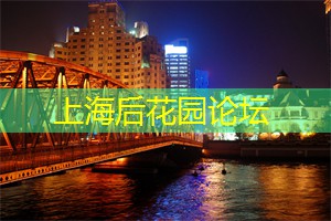 上海后花园：探索大都市中的自然奥秘，感受生活的无限可能